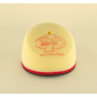 Filtre à air Dt-1 Racing Europe