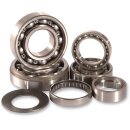 HOT RODS Bearings Trans Tbk0018
