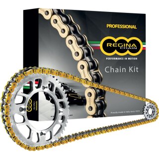 REGINA Kit Yam Fz6 Fazer/S2 04-09