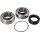 ALL BALLS Chaincase Bearing-Seal Kt