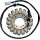 STATOR TRIUMPH 21-014