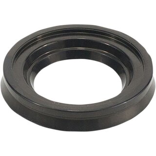 Oil Seal Rr 16Mm