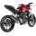 Akrapovic silenciador trasero CF/CF CB300R