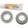 STEERING STEM BEARINGS