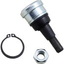 PRZEGUB KULOWY-POLARIS