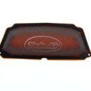Twin Air Air Filter