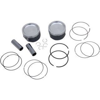 KIT PISTONI POL RZR SPRTMN