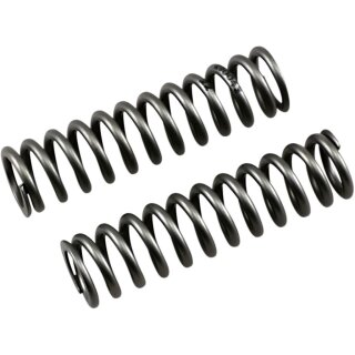 Fork Dual Chamber Spring