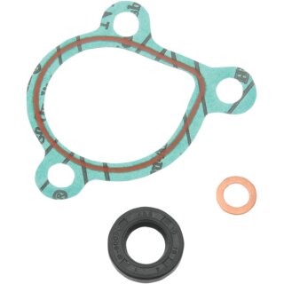 GASKET-KIT-WP-REPAIR
