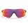 Oakley Evzero Path Prizm Road solbriller
