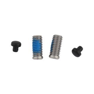 Śruba regulacyjna SRAM S900 Direct Mount 2szt.