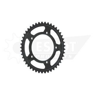 Esjot Kettenrad 525 45Z Stahl Schwarz