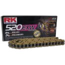 RK Kette 520 Exw 94 N Gold/Gold Offen