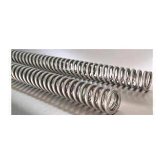 Wirth Gabelfedernsatz Wirth 6072