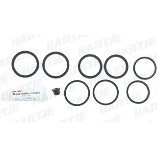 Daytona Rep-Satz Daytona 88310 4 Kolb. Festsattel