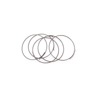 Campagnolo Sperrklinken Feder 5Er Satz