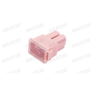 Dresselhaus Blocksicherung Typas 30A Female / Rosa