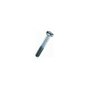 Dresselhaus hexagon screws 8.8 8 x 100mm