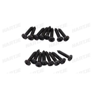 Dresselhaus Linsen-Blechschr. Form C 4,2X19/ Kreuzschl./ 12St.