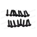 Dresselhaus Linsen-Blechschr. Form C 5,5X25/ Kreuzschl./...