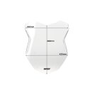 WSCRN INTER R1250GS CHIARO