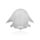 WSCRN RACE S1000RR SMOKE