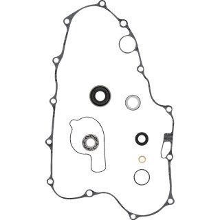 Prox REPR KT WTRPMP 250SX 17