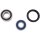 ALL BALLS RACING Jeu de roulements de roue