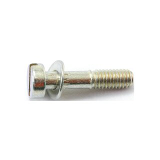 Dellorto screw