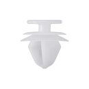 Cierre especial DRESSELHAUS