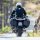 Dunlop RDSM IV 150/60R17 66H TL