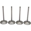 Set di valvole MSE PRO CRF450