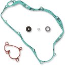 Wasserpumpen Reparatursatz