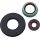 MOOSE RACING HARD-PARTS Oil Seal Set Mse Pol