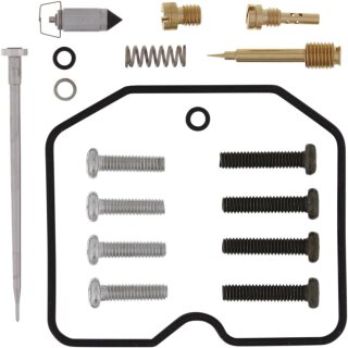 Kit de réparation du carburateur