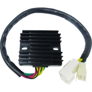 Regulator/prostownik