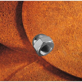 AC SPKT NUT CHR 55-06BT
