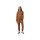 Fox Rockwilder Jogger