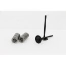 VALVE KIT INT HONDA CRF 250R 1