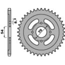 PBR Standard Stahlriztel vorne 263 - 428