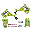 TECNOSEL Set completo Team Kawasaki 1998