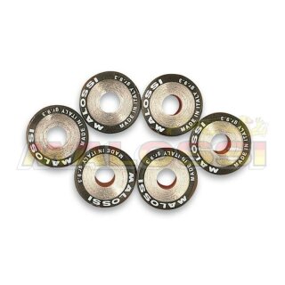 MALOSSI Satz Variomatrollen 19x15,5mm 4,7gr - 6 teilig