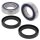 ALL BALLS Wheel Bearing Kit