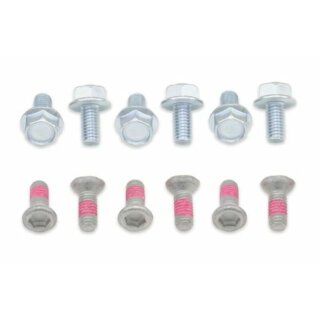 Set viti disco freno BOLT completo Yamaha YZ/YZ-F 125 à 450