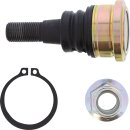 BALLJOINT LOWER POL RZR MSE
