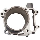 CYLINDER STANDARD BORE POLARIS