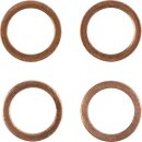 Stainless Steel Braided Brake