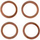 Stainless Steel Braided Brake