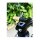 NG Sports Ahead Cap, 1 1/8", Logotype, Special Edition, OEM, black SALE