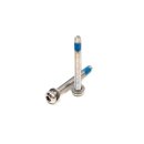 Paul Component Flat Mount-fastgørelsesskruer HR, 5x45mm, T25